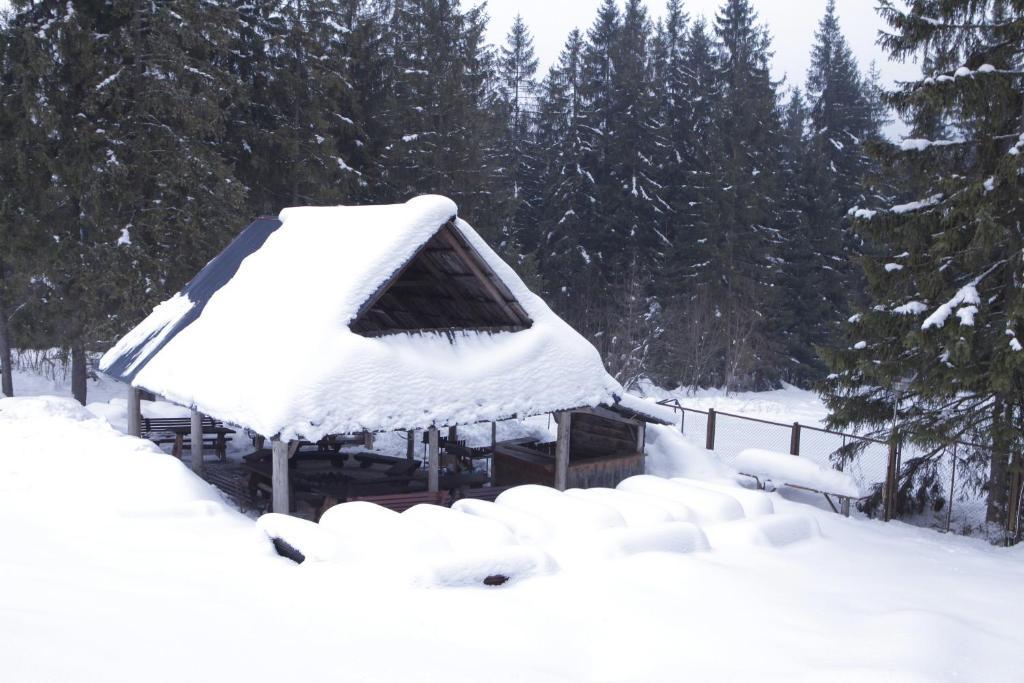 Siwarna Natura Tour Hotel Zakopane Buitenkant foto